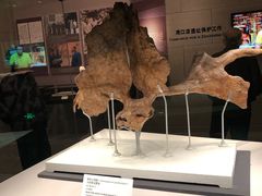 -北京周口店北京人遗址博物馆