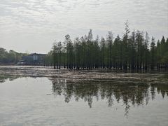 -白鹭湾湿地公园