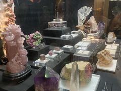 -烟台自然博物馆
