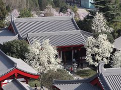 -大慈恩寺(大雁塔)