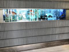 -徐记海鲜(观沙岭|滨江新城店)