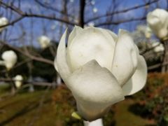 -无锡市市民中心