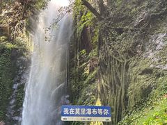 -莫里热带雨林景区