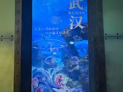 -海合安武汉极地海洋公园