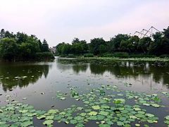 -新江湾城公园