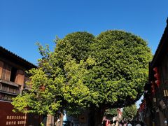 -三坊七巷历史文化街区