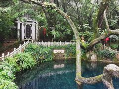 -蝴蝶泉公园