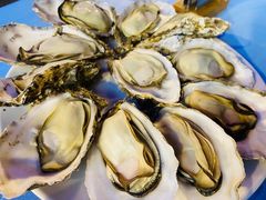 -千岛蚝高压锅生蚝·人参火锅(白云万达店)