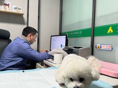 -半岛宠物医院24小时(科华中路店)