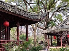 -上海醉白池公园