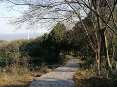 -巢湖姥山岛