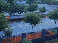 -浙江农林大学(东湖校区)