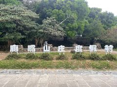 -杨梅坑