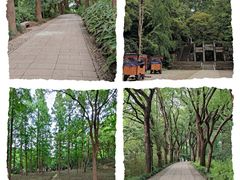 -虎丘山风景名胜区