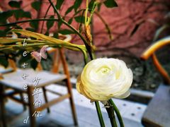 -香园自助小火锅