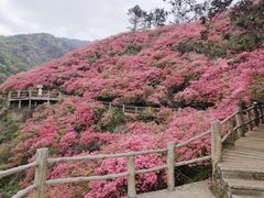 -木兰云雾山