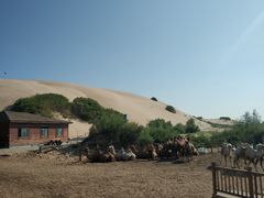 -玉龙沙湖景区