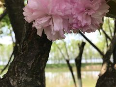 -艾溪湖湿地公园