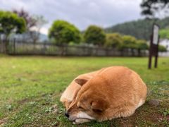 -毛泽东同志旧居