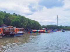 -上海海湾国家森林公园