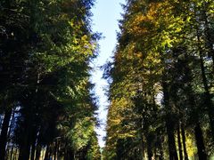 -山王坪喀斯特国家生态公园