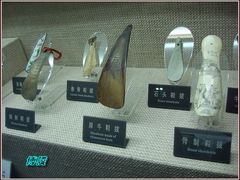 -天津华夏鞋文化博物馆