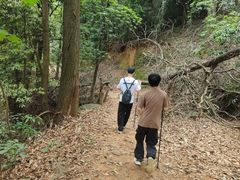 -广州市帽峰山景区