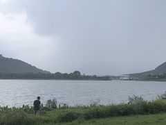 -风云岭森林公园