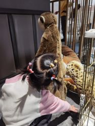 -奈尔宝·儿童乐园·亲子餐厅(华采天地店)