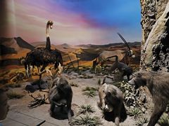 -国家自然博物馆