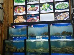 水产区-老东镇啤酒屋海鲜加工·蒸汽海鲜·海鲜烧烤(台东店)