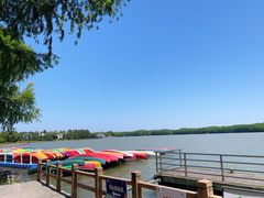 -上海海湾国家森林公园