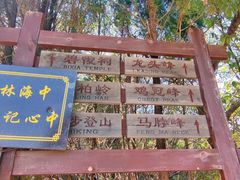 -锦屏山旅游度假区