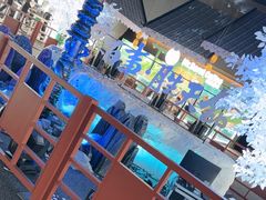-上海环球金融中心骑迹50年环球之旅