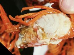 -庆合府重庆大排档(紫都城店)