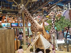 -卡通尼·Safari非洲探索乐园·生日会(金桥国际商业广场店)