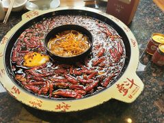 -一斗火锅·招财羊毛肚(上河城店)