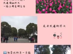 -上海鲜花港