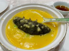 石锅松露扣辽参-新光酒家·河豚·海鲜·蟹料理(浦东店)