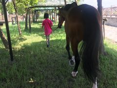 -松声马术俱乐部