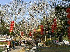-广东温泉宾馆