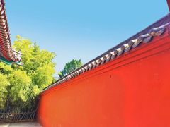 -洛阳白马寺