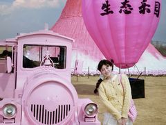 -祥源·阜阳生态乐园