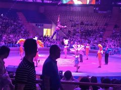 -俄罗斯国家大马戏团