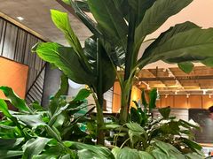 -云海肴·汽锅鸡·云南菜(领展购物广场·中关村店)