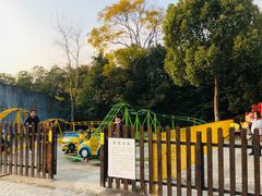 -上海海湾国家森林公园