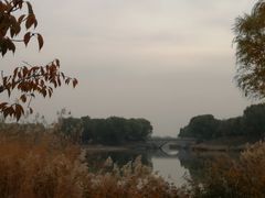 -大兴滨河森林公园