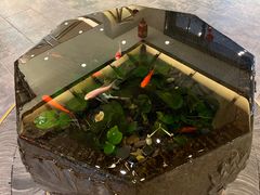 -时光漫步S酒店(成都宽窄巷子店)