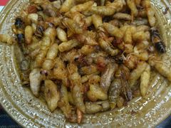 -昆虫窝子·特色云南菜(拓东路总店)