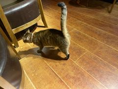 -H立方实景剧情密室(天河旗舰店)
